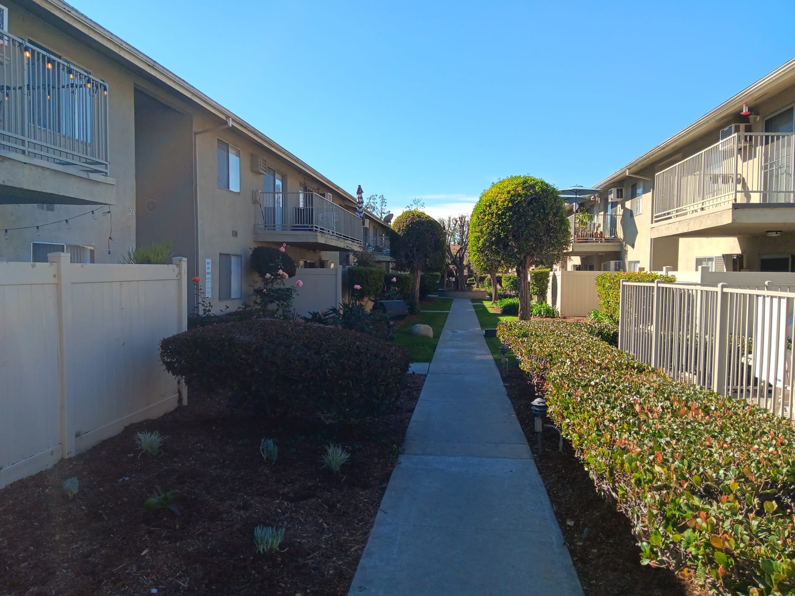 IMG-20240130-WA0002
