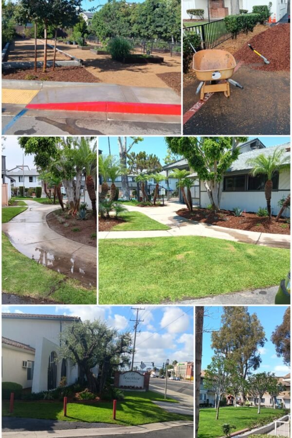 Irrigation and Installation Services