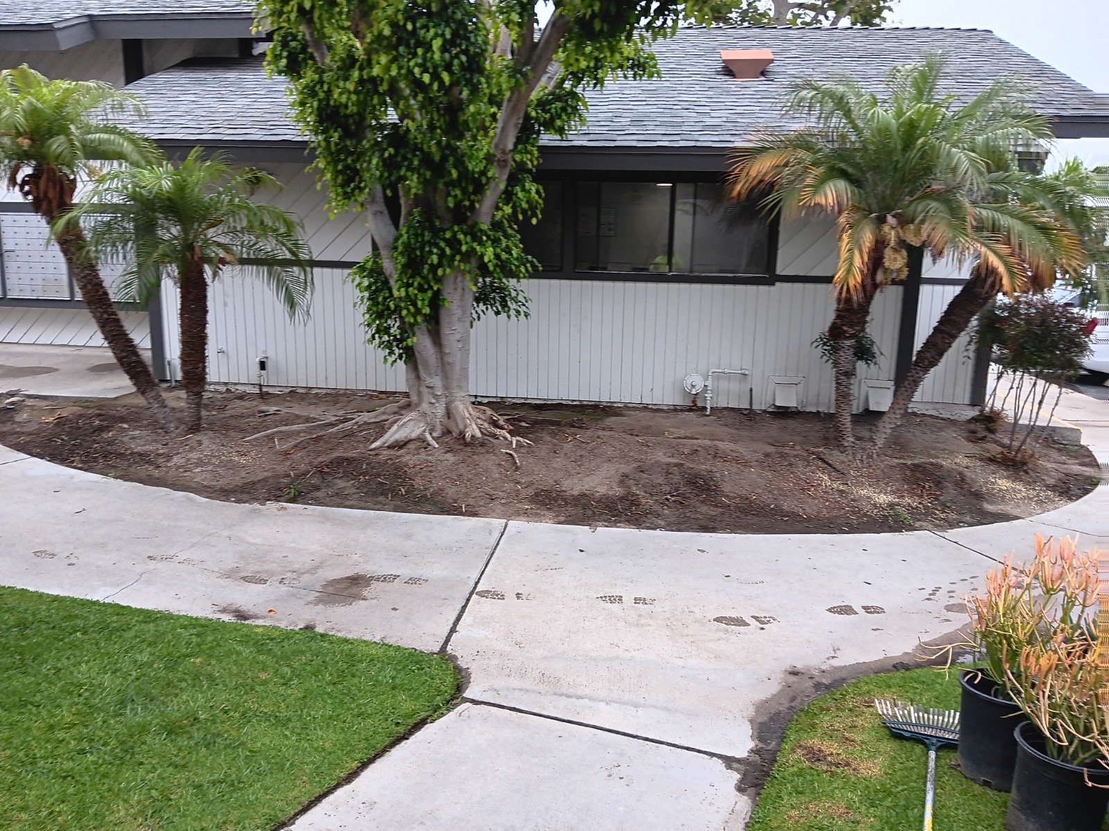 WhatsApp Image 2024-11-23 at 10.49.45 PM (1)