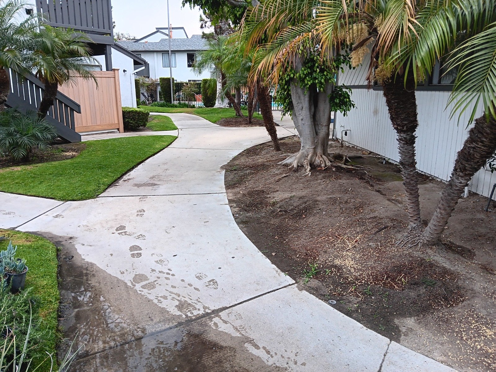 WhatsApp Image 2024-11-23 at 10.49.45 PM (2)