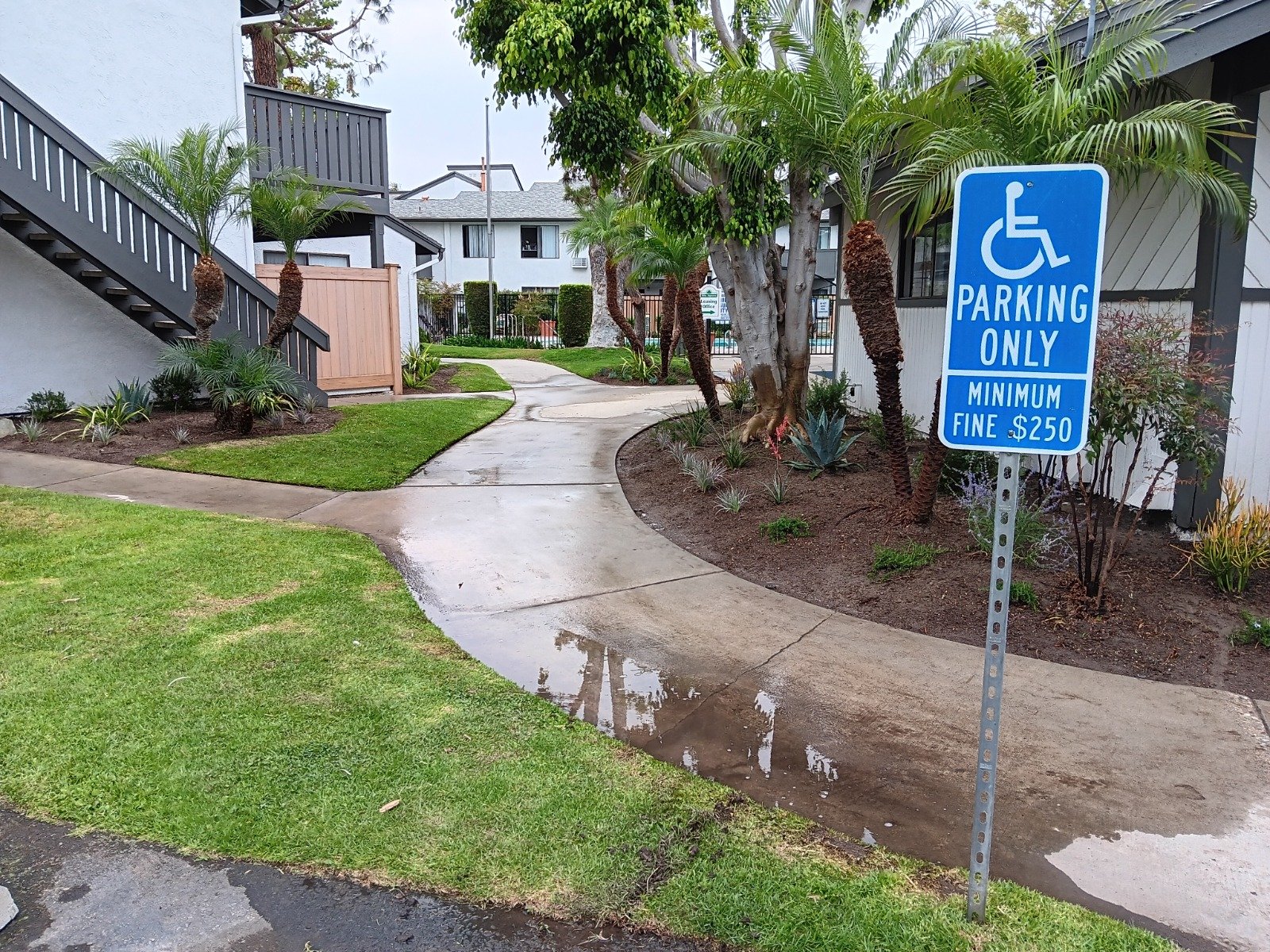 WhatsApp Image 2024-11-23 at 10.49.45 PM (4)