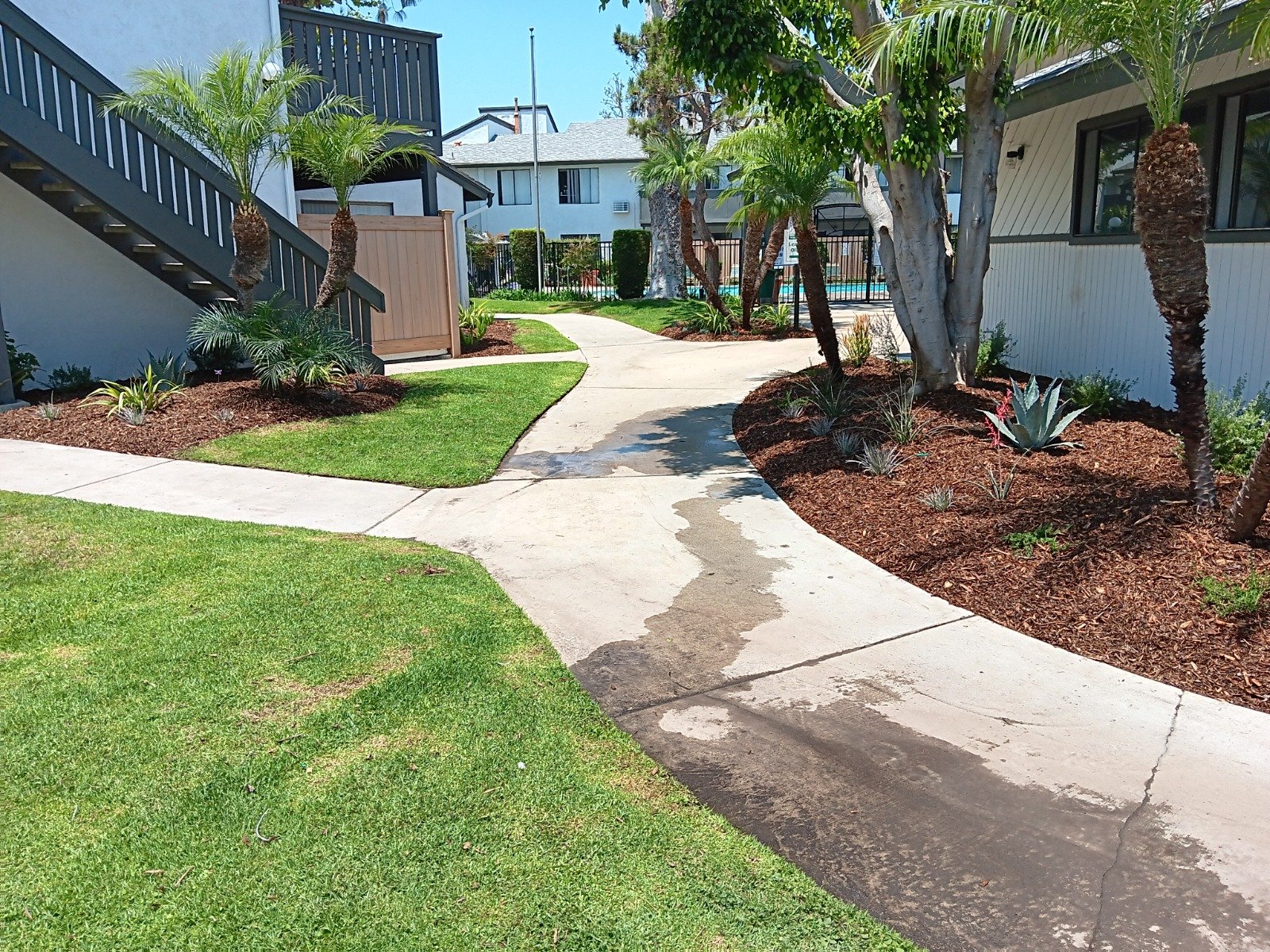 WhatsApp Image 2024-11-23 at 10.49.45 PM (8)