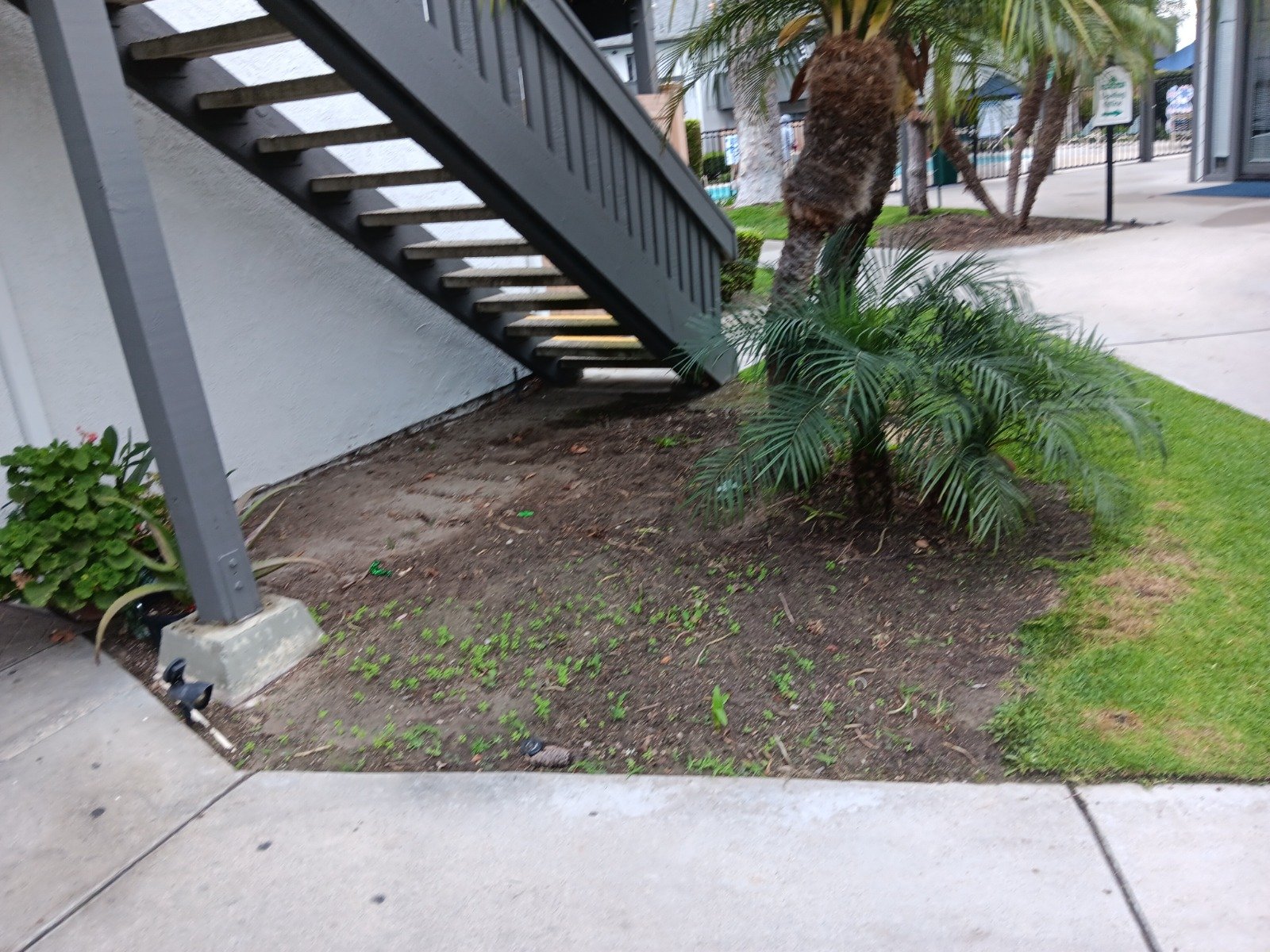 WhatsApp Image 2024-11-23 at 10.49.45 PM